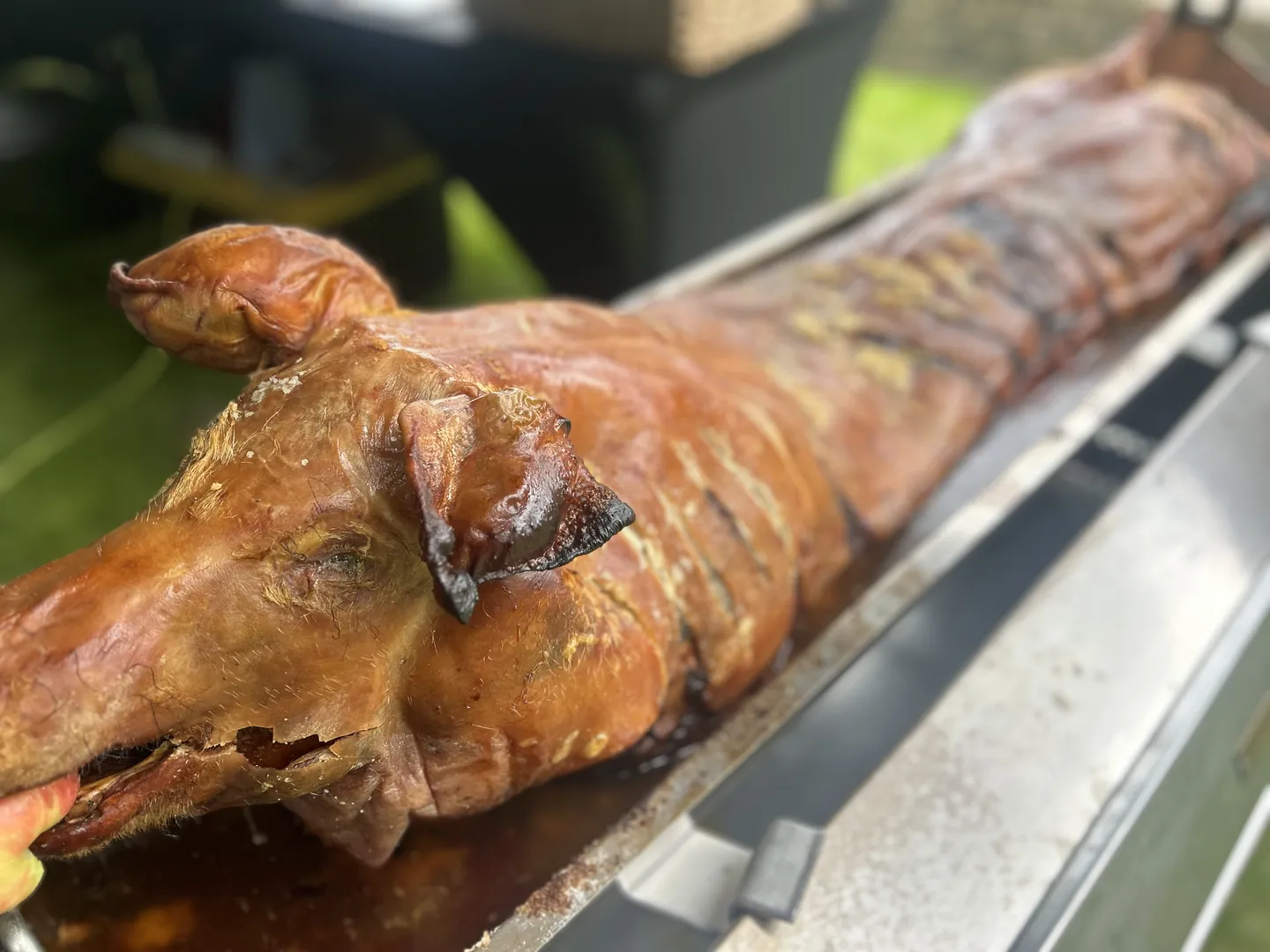 Country Hog Roast
